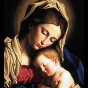 Meet your Posher, Carol